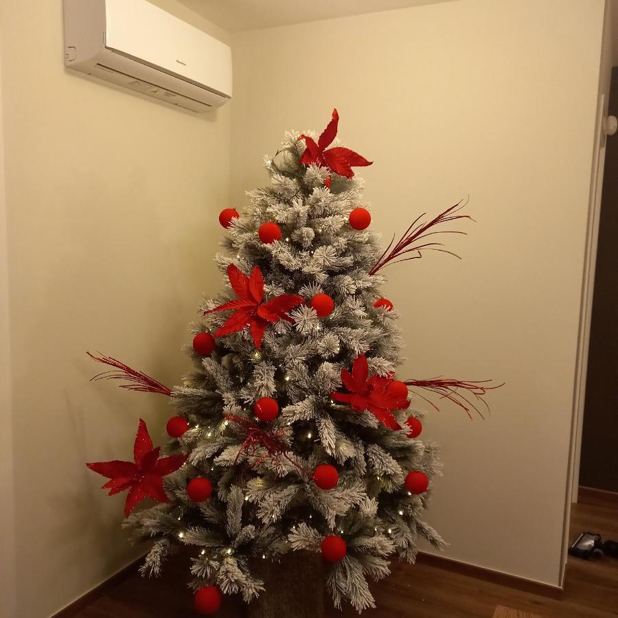 Corte Trento - Exclusive Rooms Bitonto Zewnętrze zdjęcie